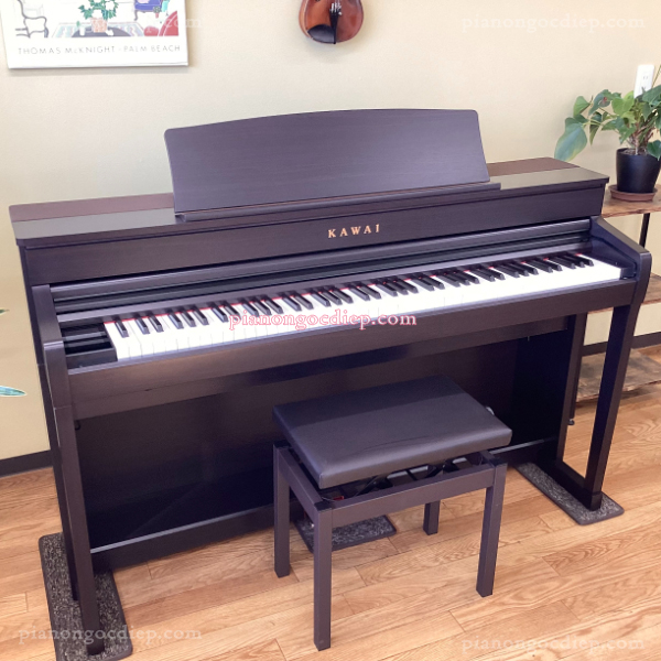 Đàn Piano Điện Kawai CA79R [Digital Piano]