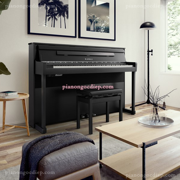 Đàn Piano Điện Kawai CA901EP [Digital Piano]