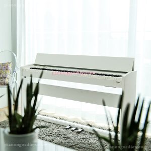 Đàn Piano Điện Roland F-120 WH [Digital Piano]