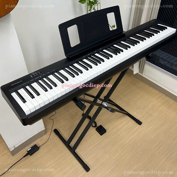 Đàn Piano Điện Roland FP-10 [Digital Piano]