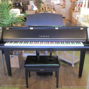 Đàn Piano Điện Yamaha DGP1 PE [Digital Piano]