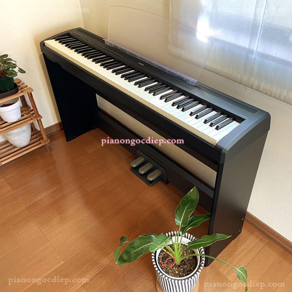 Đàn Piano Điện Yamaha P85S [Digital Piano]