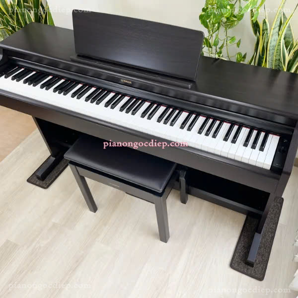 Đàn Piano Điện Yamaha YDP-201 [Digital Piano]