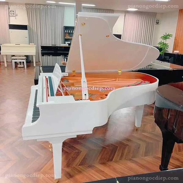 Đàn Grand Piano Yamaha C5X [Grand Piano]