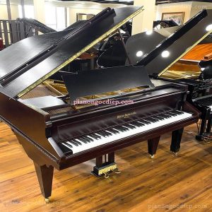 Đàn Grand Piano 1885 Hallet Davis [Grand Piano]