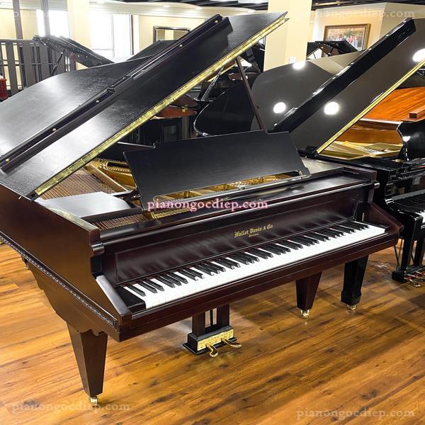 Đàn Grand Piano 1885 Hallet Davis [Grand Piano]