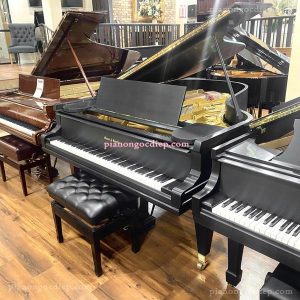 Đàn Grand Piano 1928 Mason & Hamlin BB [Grand Piano]