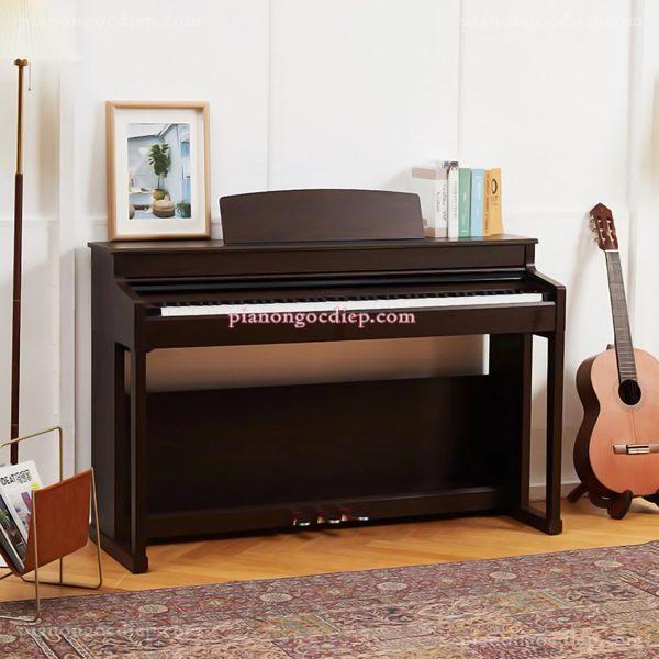 Đàn Piano Điện Apollo DP-260 [Digital Piano]