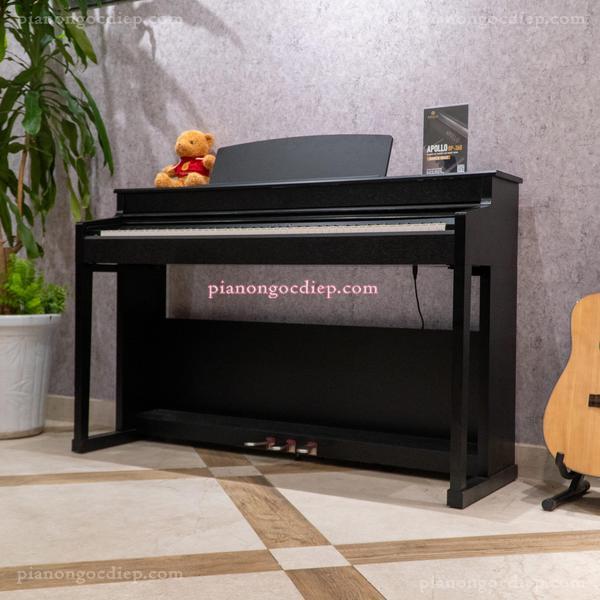 Đàn Piano Điện Apollo DP-260 (BL) [Digital Piano]