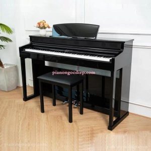 Đàn Piano Điện Apollo KP-88 [Digital Piano]