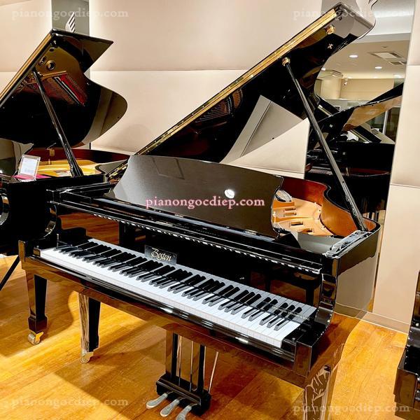 Đàn Grand Piano Boton GP178PE/EP [Grand Piano]