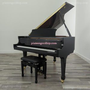 Đàn Grand Piano Essex EGP-155 [Grand Piano]