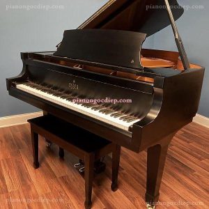 Đàn Grand Piano Essex EGP-183 [Grand Piano]