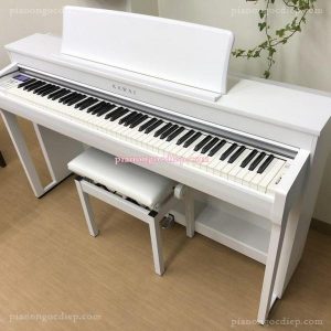 Đàn Piano Điện Kawai CN370GP [Digital Piano]