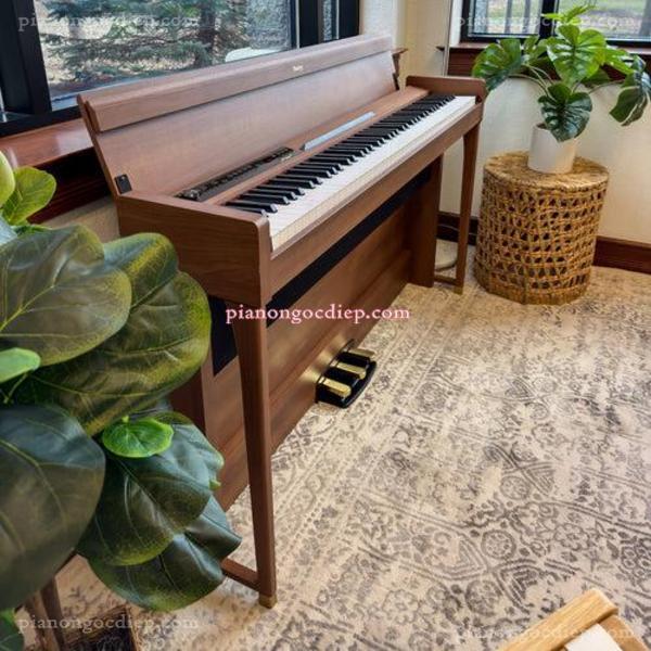 Đàn Piano Điện Korg Chopin [Digital Piano]