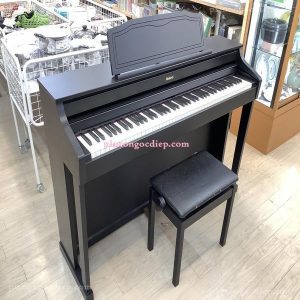 Đàn Piano Điện Roland HP506-GP [Digital Piano]