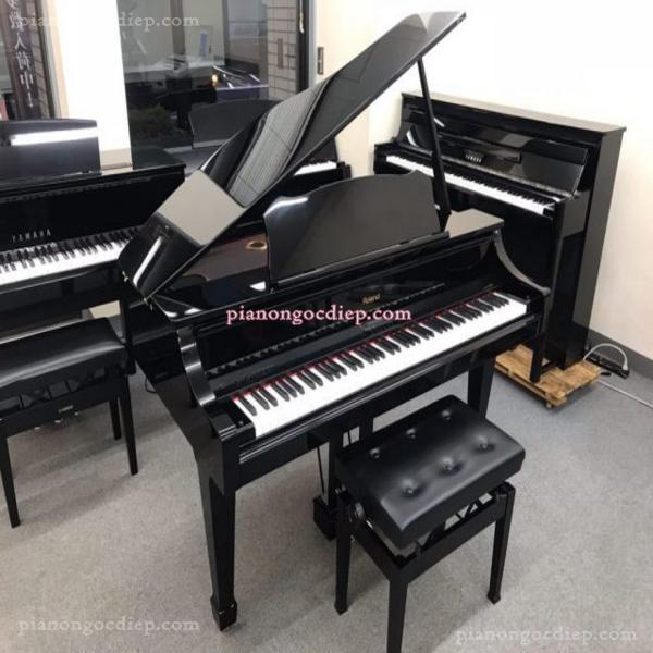 Đàn Piano Điện Roland RG-3F-PE [Digital Piano]