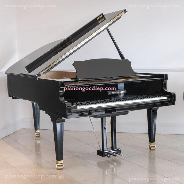 Đàn Grand Piano Steingraeber & Sohne C-212 [Grand Piano]