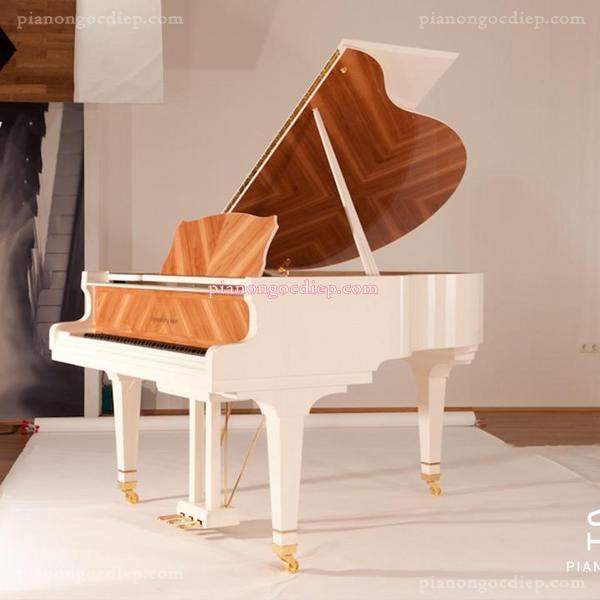 Đàn Grand Piano Steingraeber & Söhne A-170 [Grand Piano]