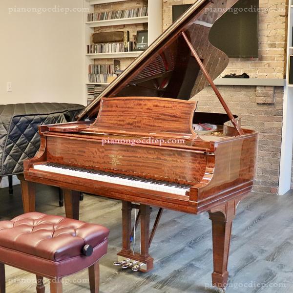 Đàn Grand Piano Steinway Model B [Grand Piano]