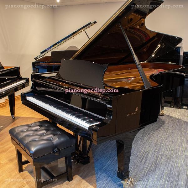 Đàn Grand Piano Steinway Model D [Grand Piano]