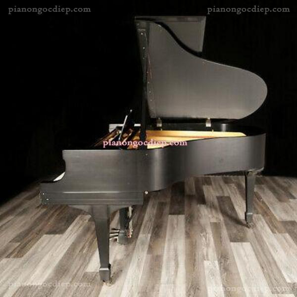 Đàn Grand Piano Steinway Model M 1927 [Grand Piano]