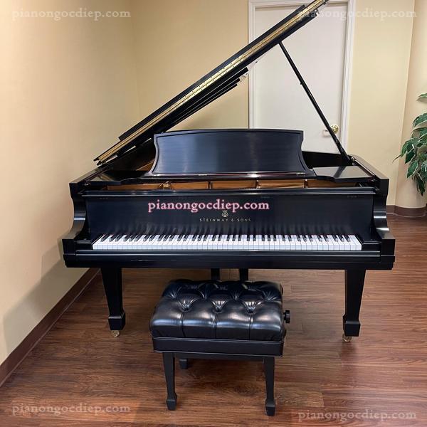 Đàn Grand Piano Steinway & Sons Model D [Grand Piano]