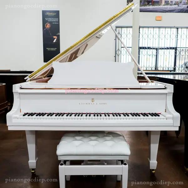 Đàn Grand Piano Steinway & Sons Model O 1910 [Grand Piano]