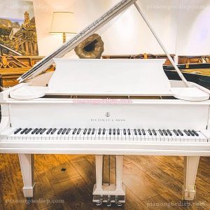 Đàn Grand Piano Steinway & Sons O-180  [Grand Piano]