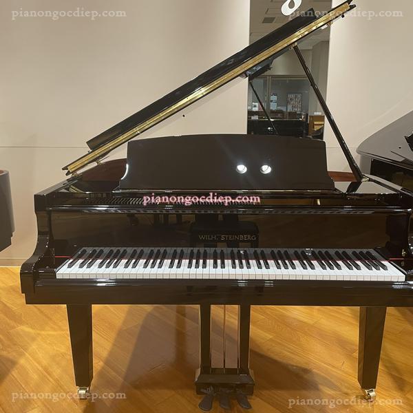 Đàn Grand Piano WILH.STEINBERG P-152 [Grand Piano]