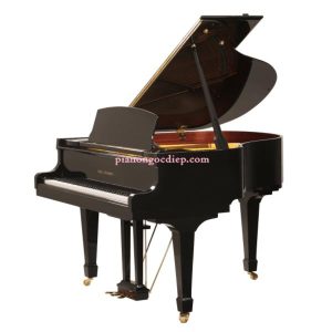 Đàn Grand Piano Wilh. Steinberg P-152 [Grand Piano]
