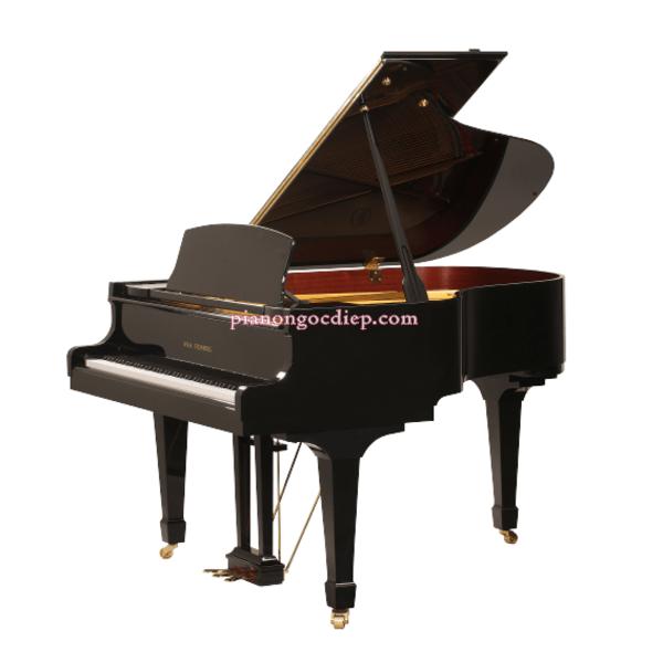 Đàn Grand Piano Wilh. Steinberg P-165 [Grand Piano]