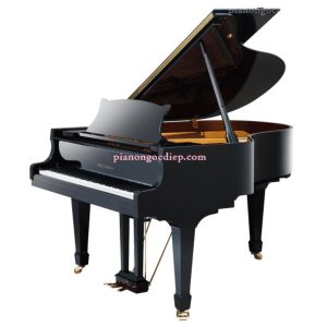 Đàn Grand Piano Wilh. Steinberg P-178 [Grand Piano]