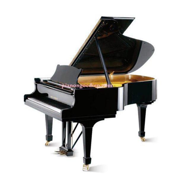 Đàn Grand Piano Wilh. Steinberg S-188 [Grand Piano]