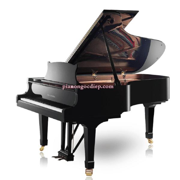 Đàn Grand Piano Wilh. Steinberg S-212 [Grand Piano]