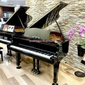Đàn Grand Piano Yamaha C1 [Grand Piano]