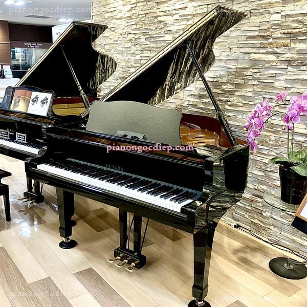 Đàn Grand Piano Yamaha C1 [Grand Piano]