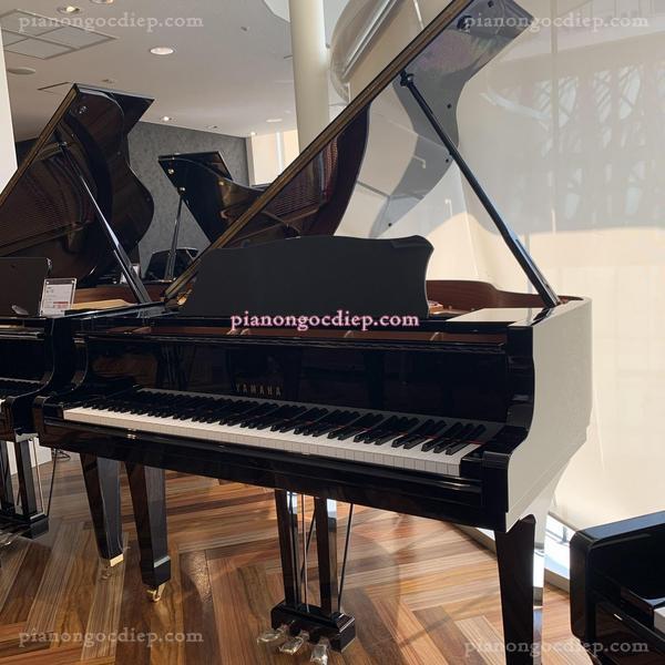 Đàn Grand Piano Yamaha C1L [Grand Piano]