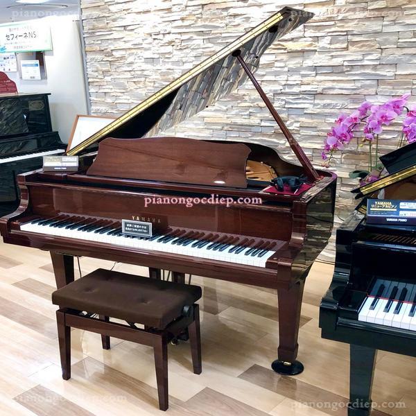 Đàn Grand Piano Yamaha C1LSN-MH [Grand Piano]