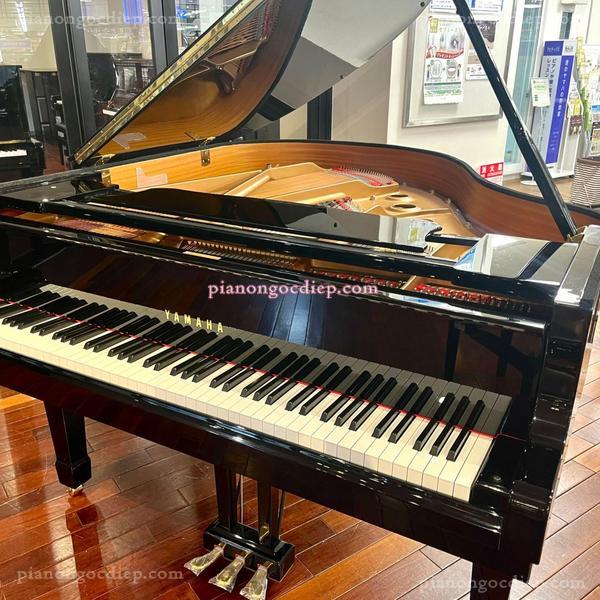 Đàn Grand Piano Yamaha C1SN [Grand Piano]