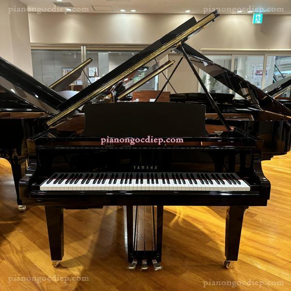 Đàn Grand Piano Yamaha C1XSH2 [Grand Piano]