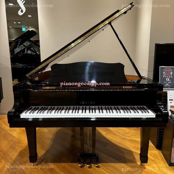Đàn Grand Piano Yamaha C2 [Grand Piano]