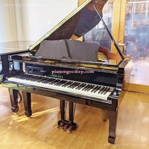 Đàn Grand Piano Yamaha C3 [Grand Piano]