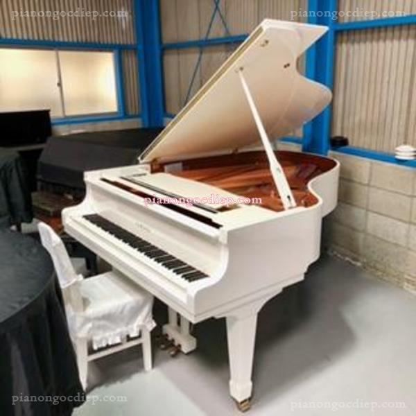 Đàn Grand Piano Yamaha C3 [Grand Piano]