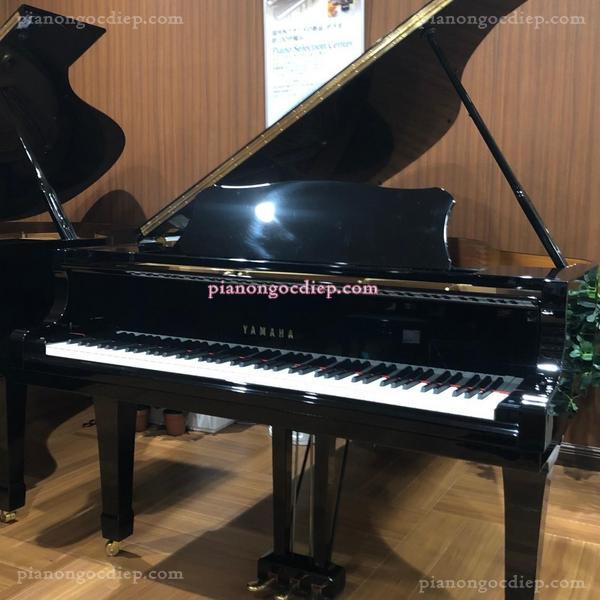 Đàn Grand Piano Yamaha C3E [Grand Piano]