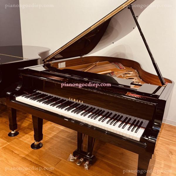 Đàn Grand Piano Yamaha C3L [Grand Piano]