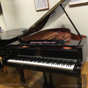 Đàn Grand Piano Yamaha C3TD [Grand Piano]