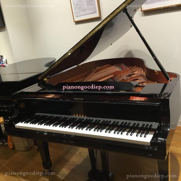 Đàn Grand Piano Yamaha C3TD [Grand Piano]