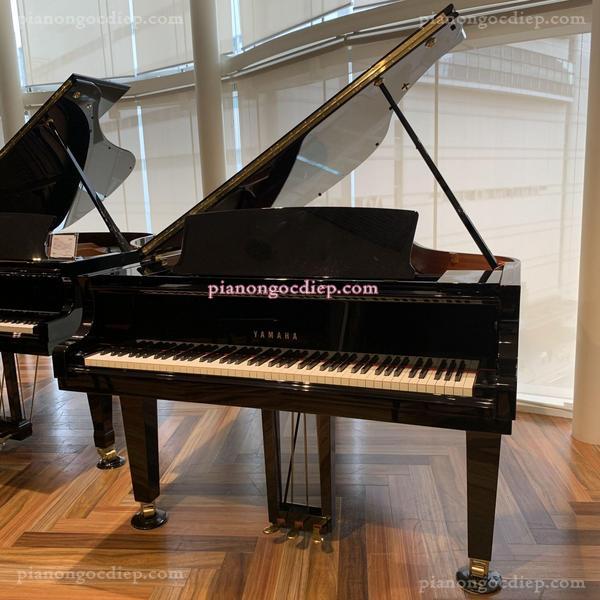 Đàn Grand Piano Yamaha C3X [Grand Piano]