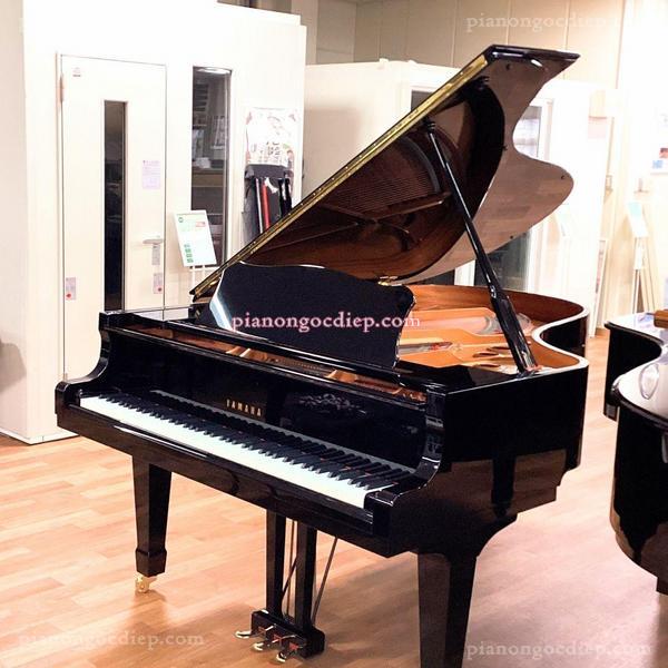 Đàn Grand Piano Yamaha C5L [Grand Piano]